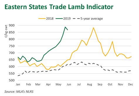 Lamb Price Per Pound 2022